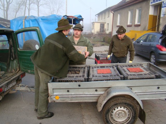 introdukcjabaantwwowiskupuniczkaikotliszowice3.jpg