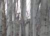 p1070537_small.jpg